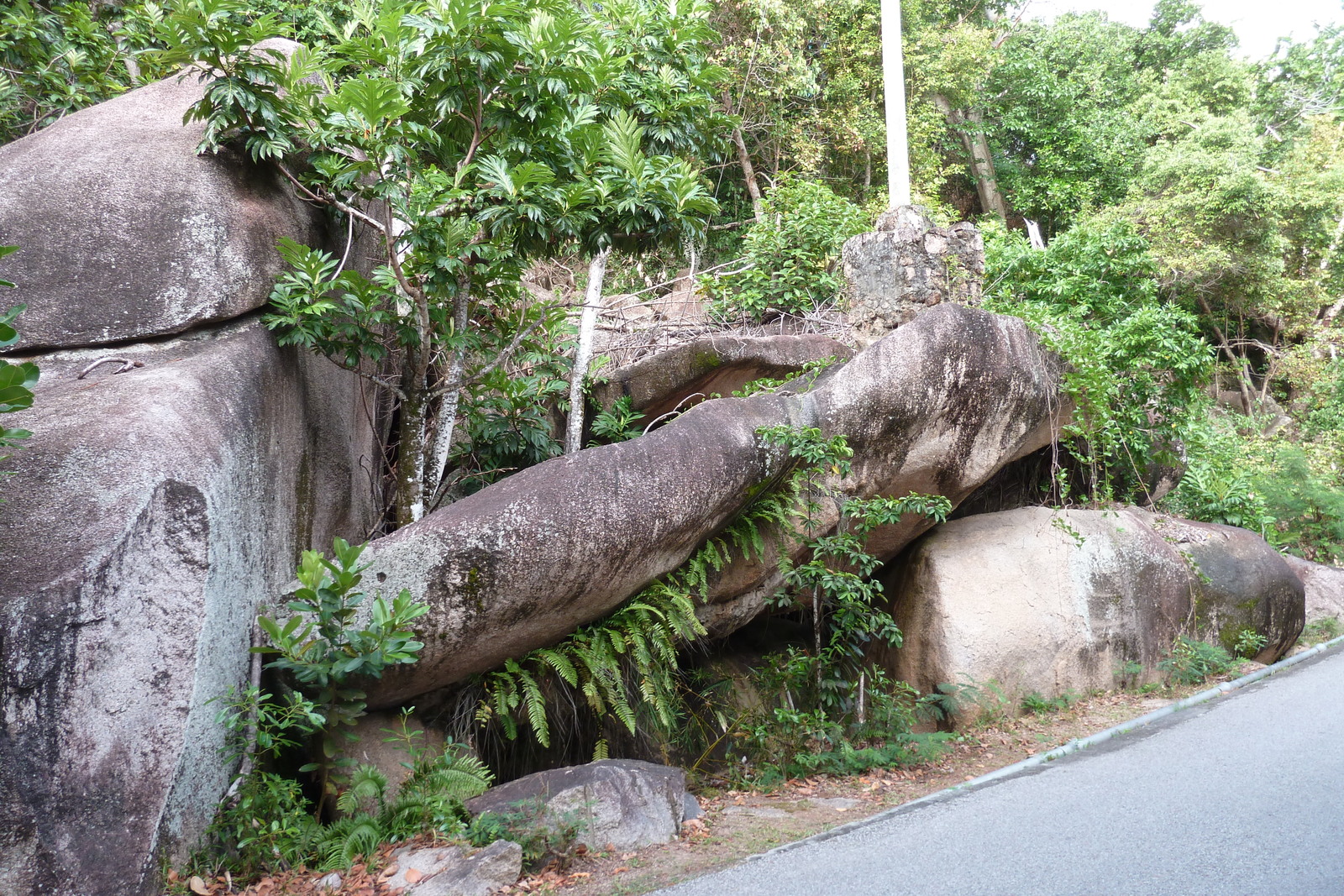 Photo Seychelles Praslin 2011-10 11