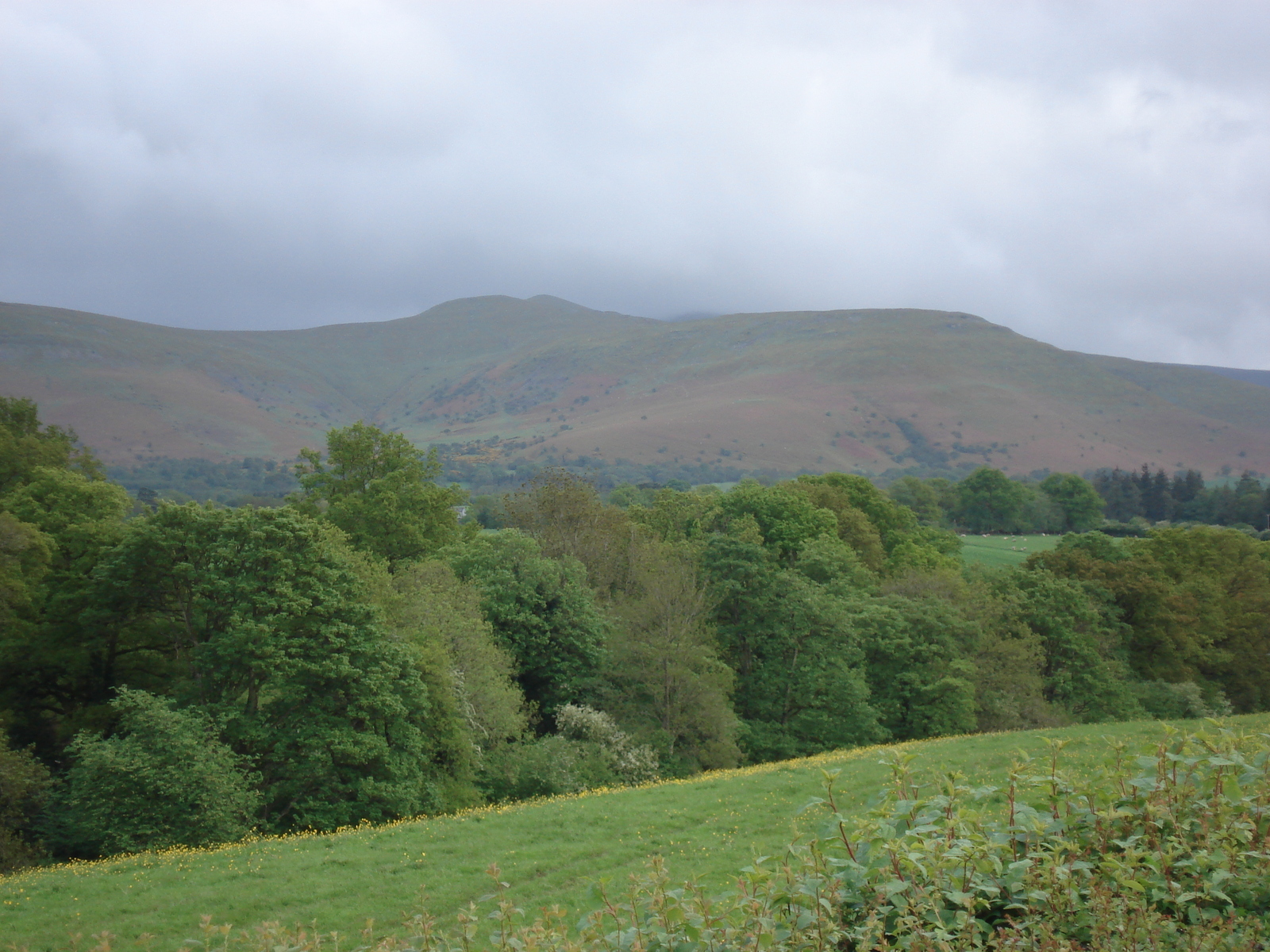 Photo Royaume-Uni Parc national des Brecon Beacons 2006-05 124