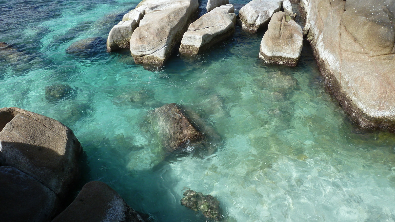 Photo Seychelles Ile Coco 2011-10 65