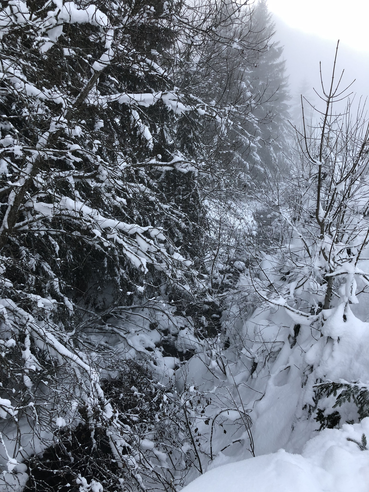 Photo France La Clusaz 2017-12 254