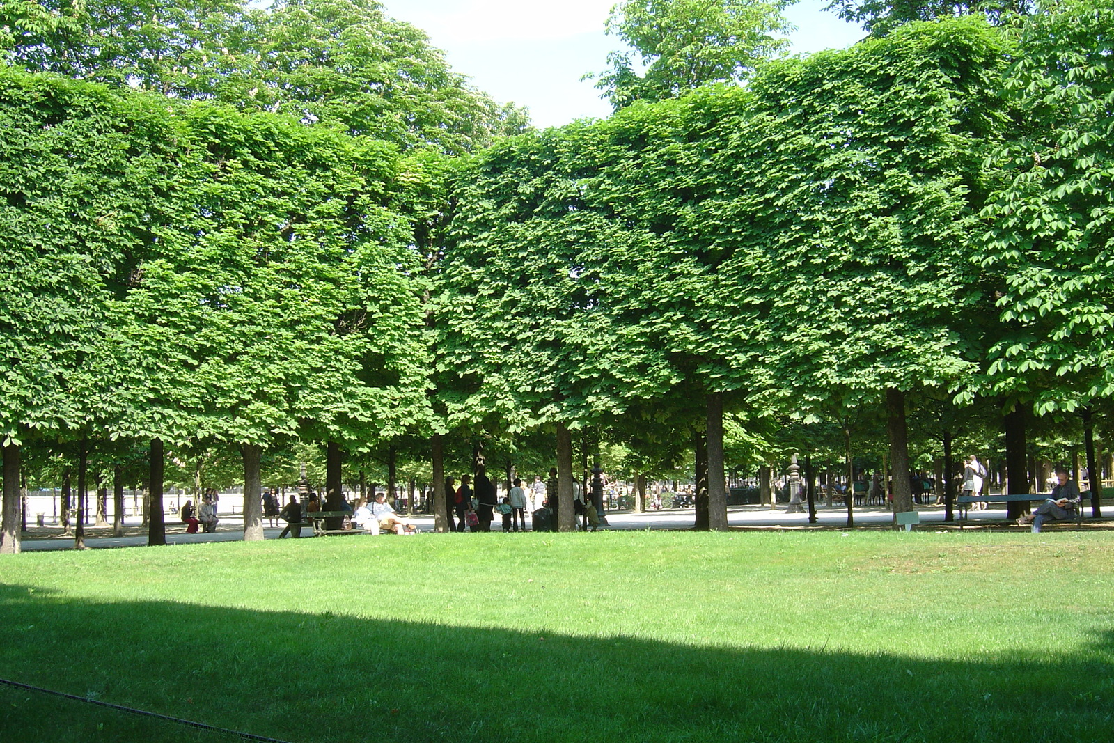 Photo France Paris Jardin des Tuileries 2007-05 353