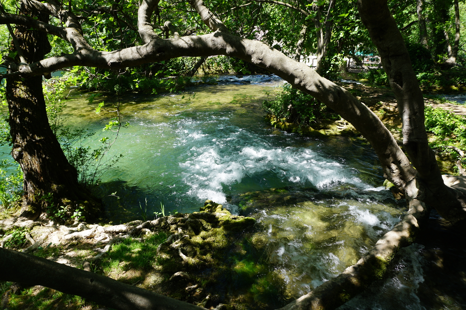 Photo Croatie Parc national KRKA 2016-04 89