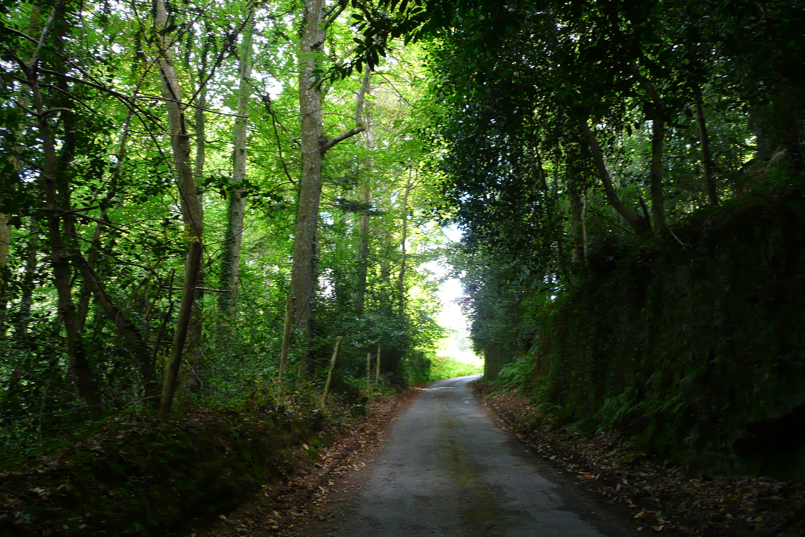 Photo France Routes de Bretagne 2007-08 30
