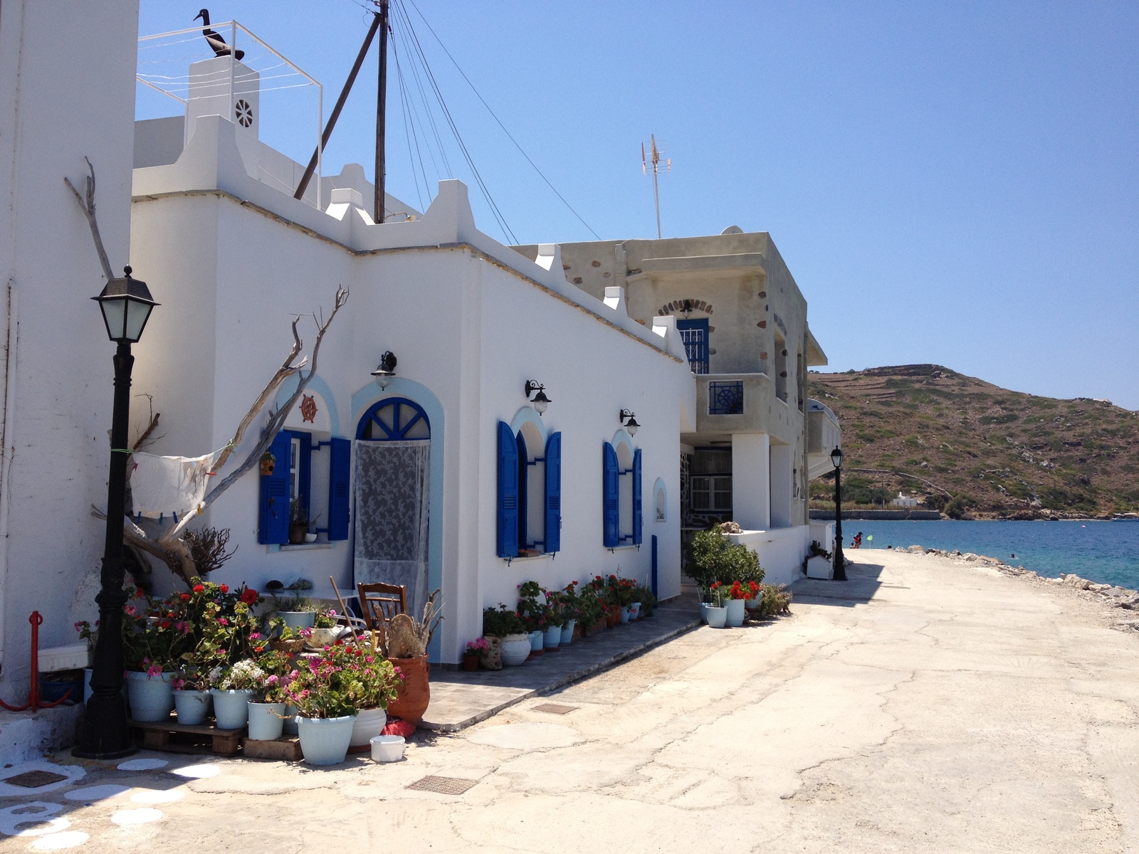 Photo Grèce Amorgos 2014-07 379