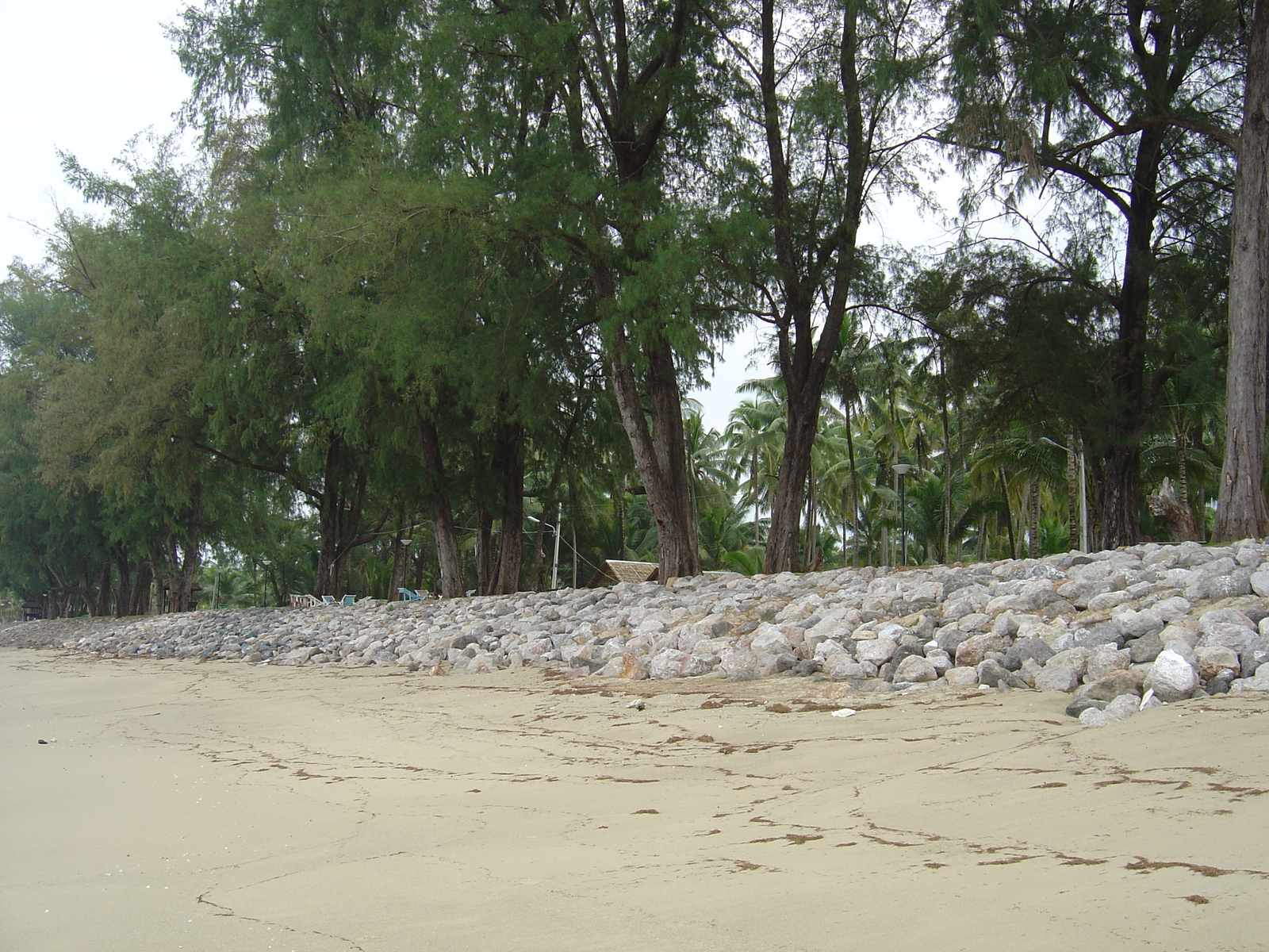 Photo Thaïlande Khao Lak Bang Sak Beach 2005-12 13