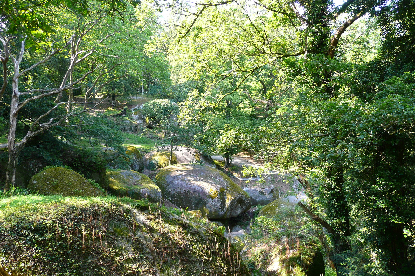 Photo France Huelgoat 2007-08 66