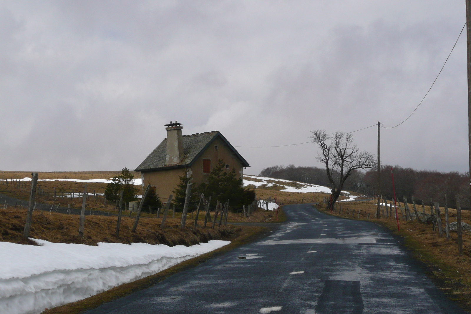 Photo France Plateau de L'Aubrac 2008-04 34