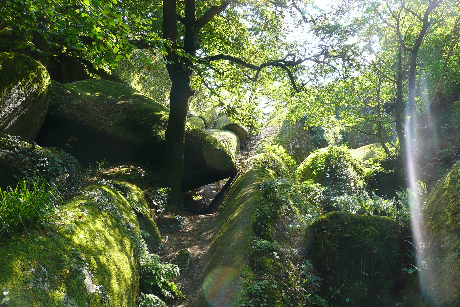 Photo France Huelgoat 2007-08 89