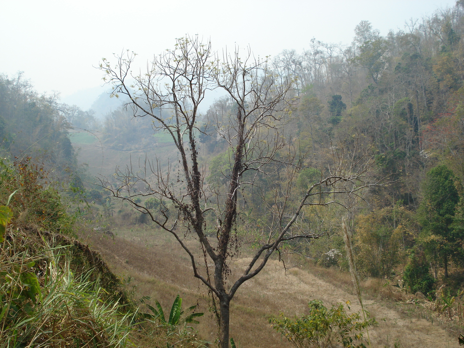 Photo Thaïlande Route de Pang Mapha à Pai 2007-02 8