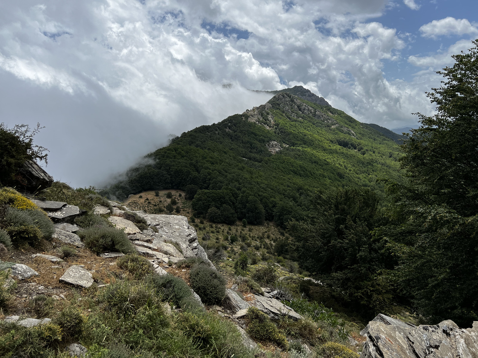Photo France Corse Refuge de Callerucciu 2022-06 27