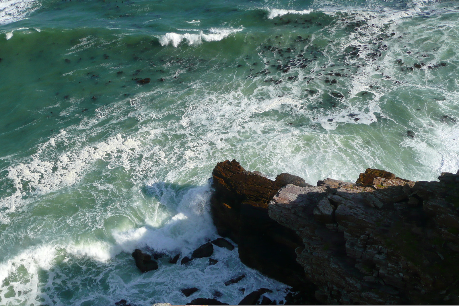 Photo Afrique du Sud Cap de Bonne Espérance pointe du cap de Bonne Espérance 2008-09 4
