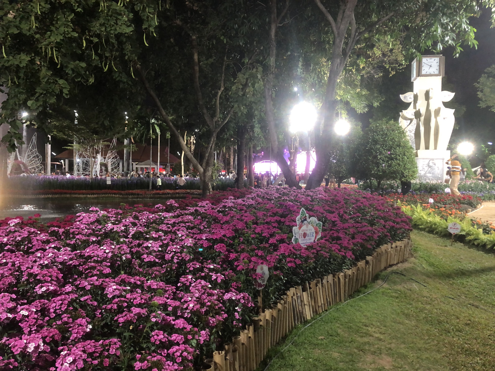 Photo Thaïlande Chiang Mai Parc public de Nong Buak Haad 2024-01 45