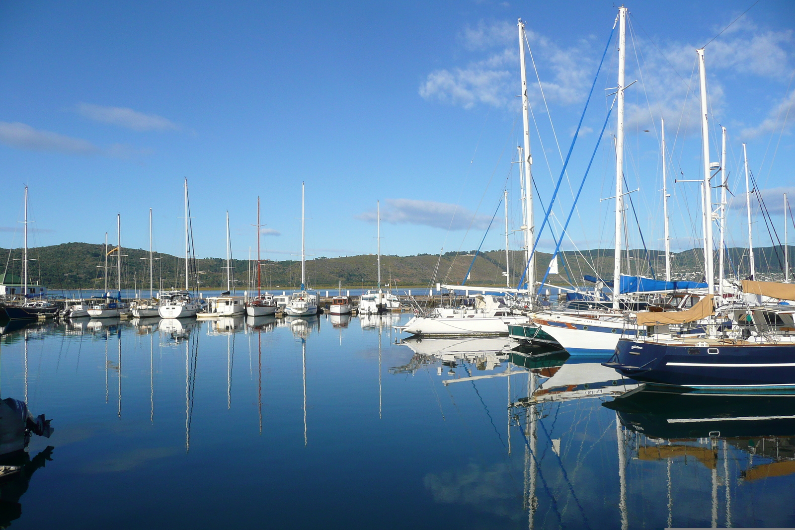 Photo Afrique du Sud Knysna 2008-09 71