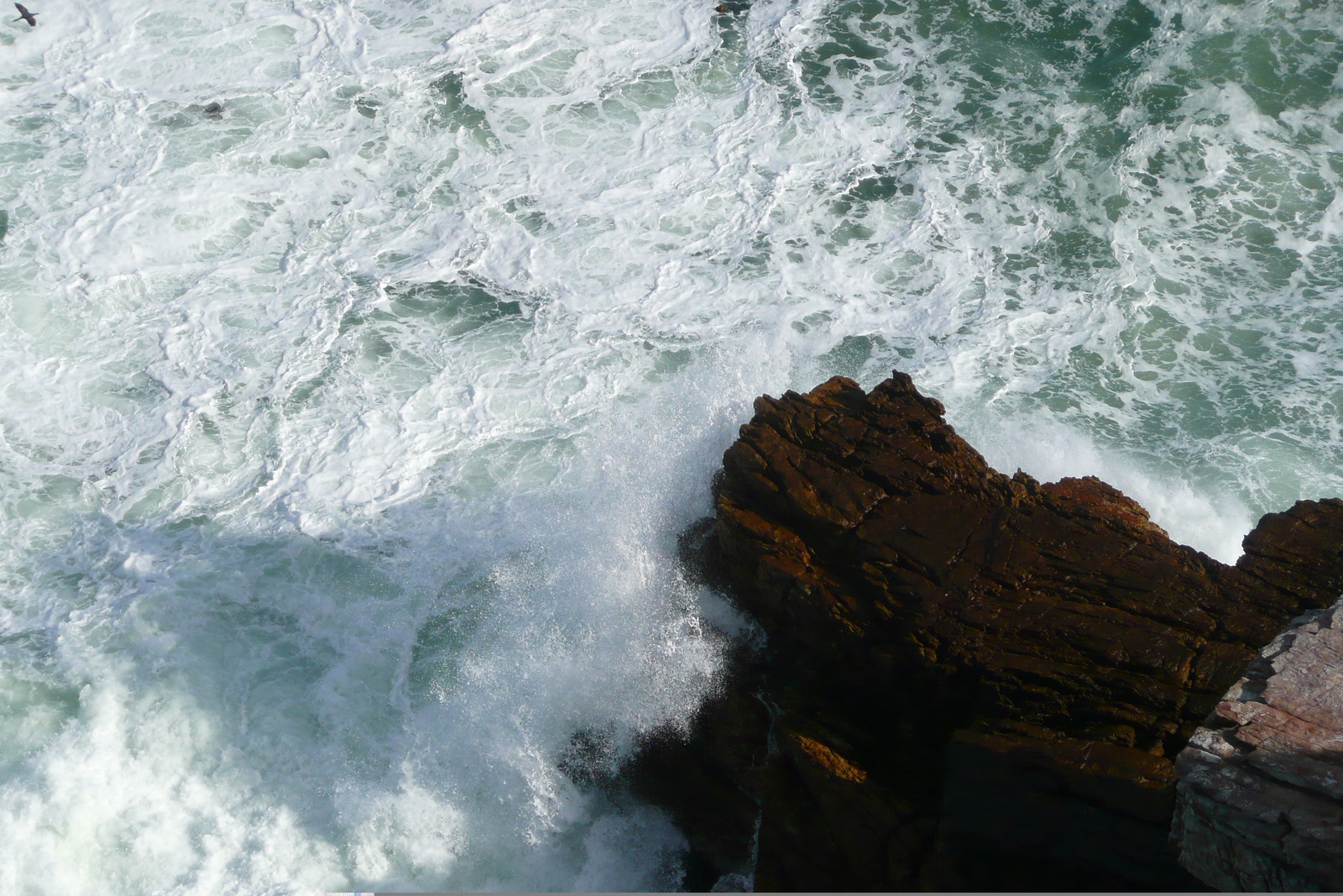 Photo Afrique du Sud Cap de Bonne Espérance pointe du cap de Bonne Espérance 2008-09 21