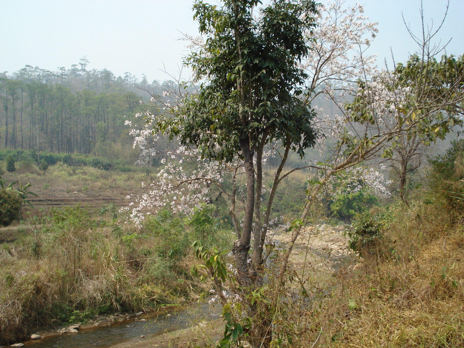 Photo Thaïlande Route de Pang Mapha à Pai 2007-02 85