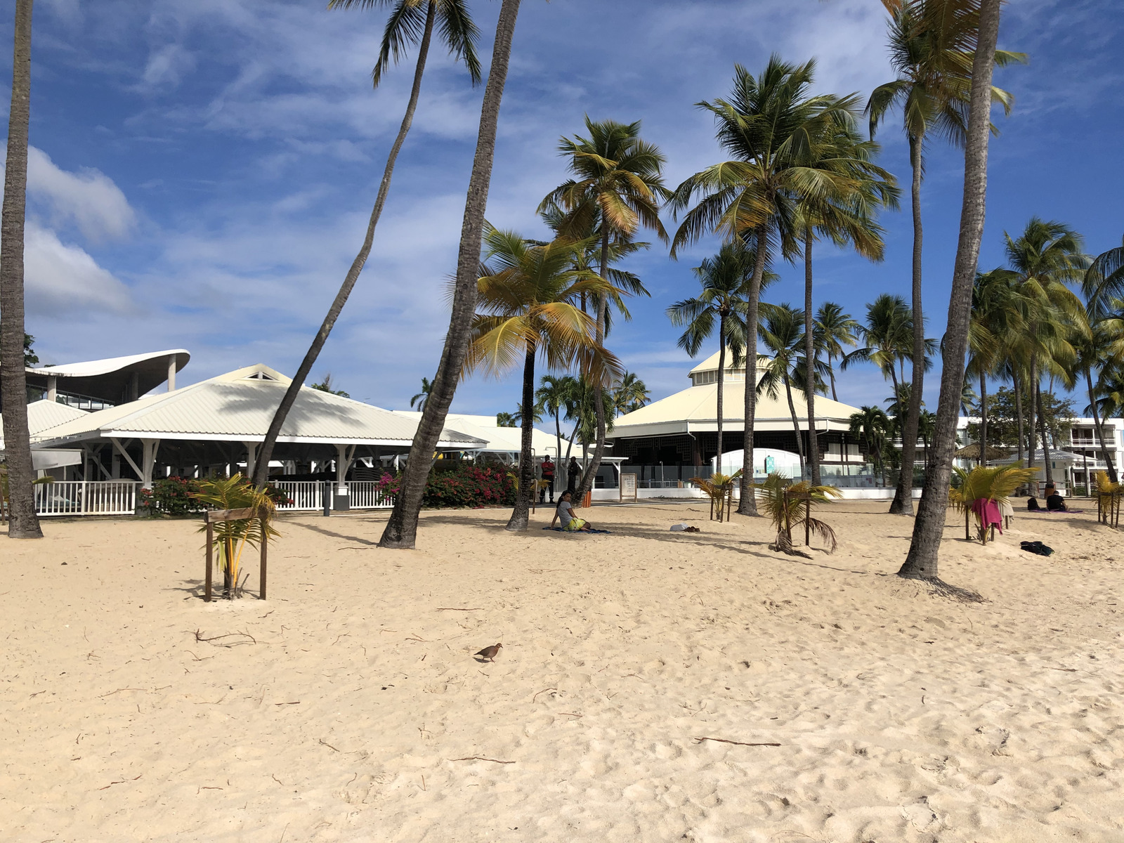Photo Guadeloupe Plage de la Caravelle 2021-02 39