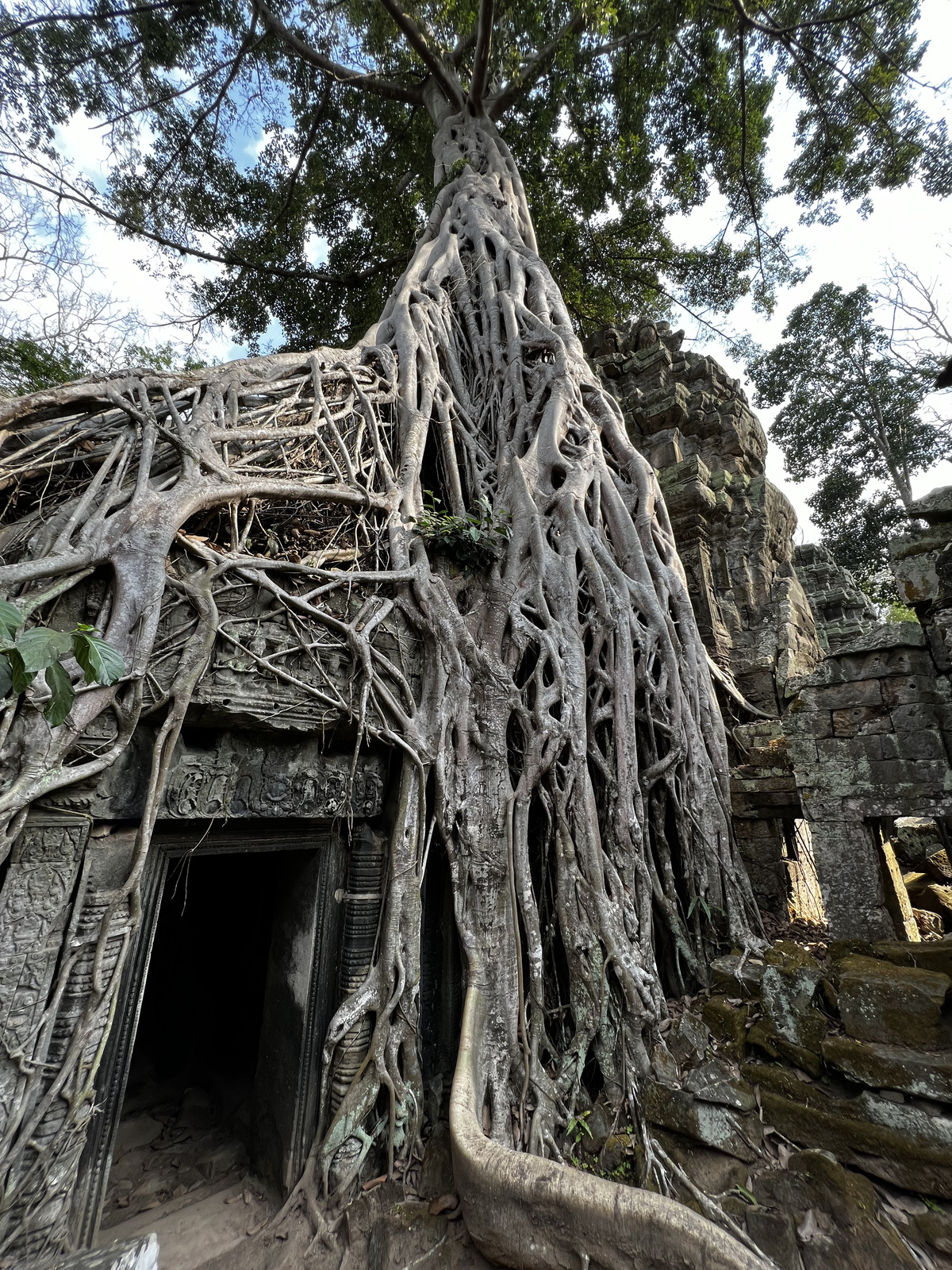 Photo Cambodge Siem Reap Ta Prohm 2023-01 61