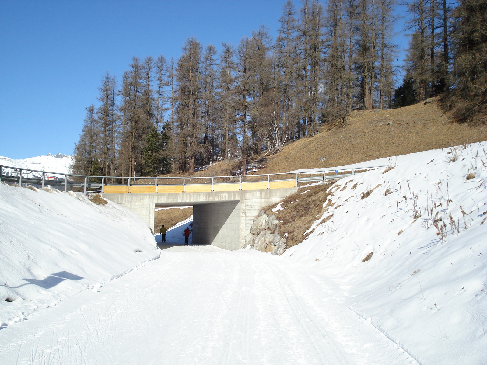Photo Suisse Pontresina 2007-01 42