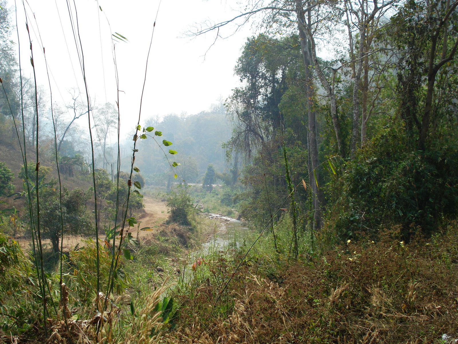 Photo Thaïlande Route de Pang Mapha à Pai 2007-02 19
