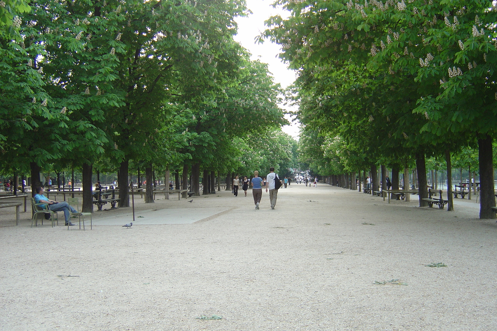Photo France Paris Jardin du Luxembourg 2007-04 87