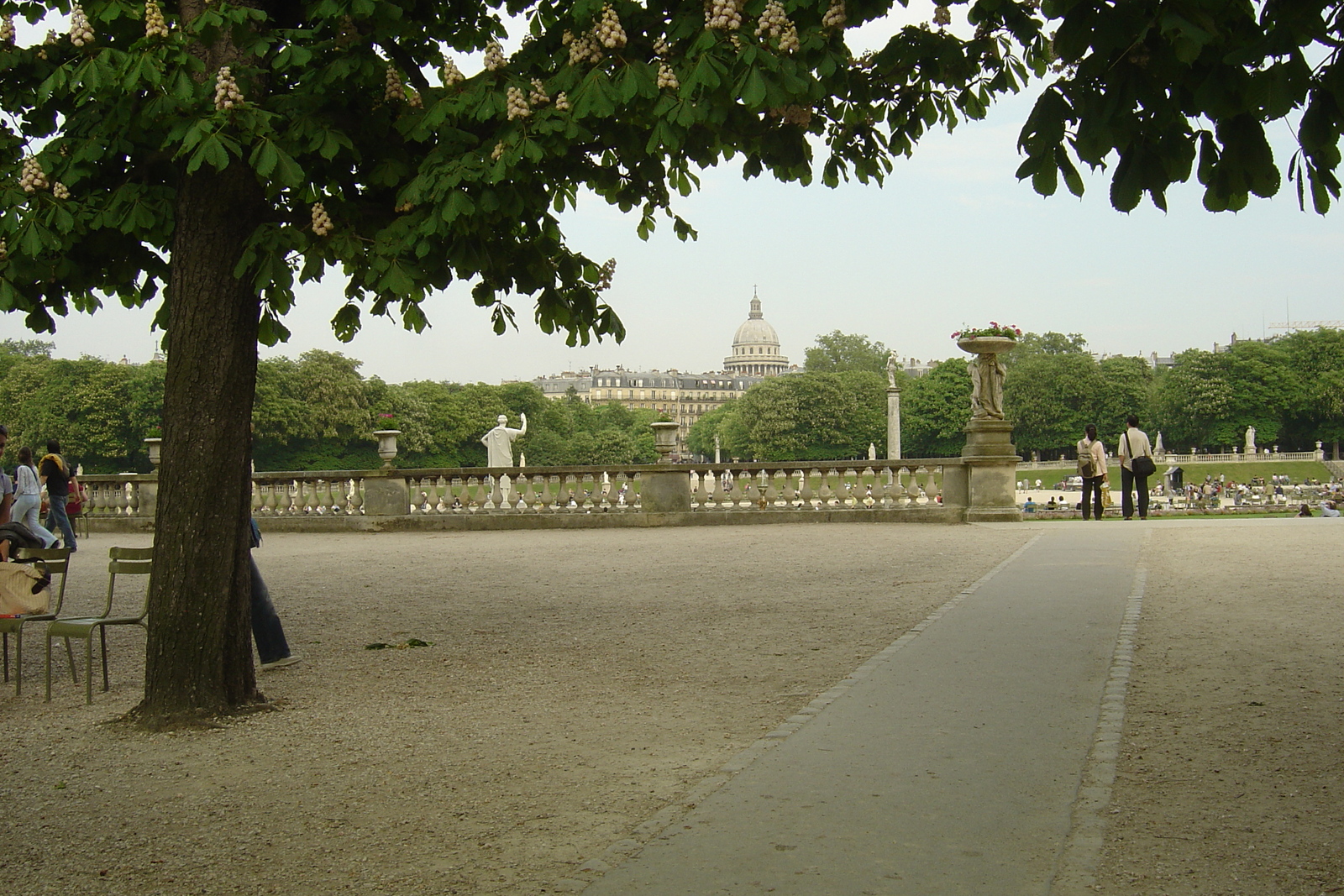 Photo France Paris Jardin du Luxembourg 2007-04 117