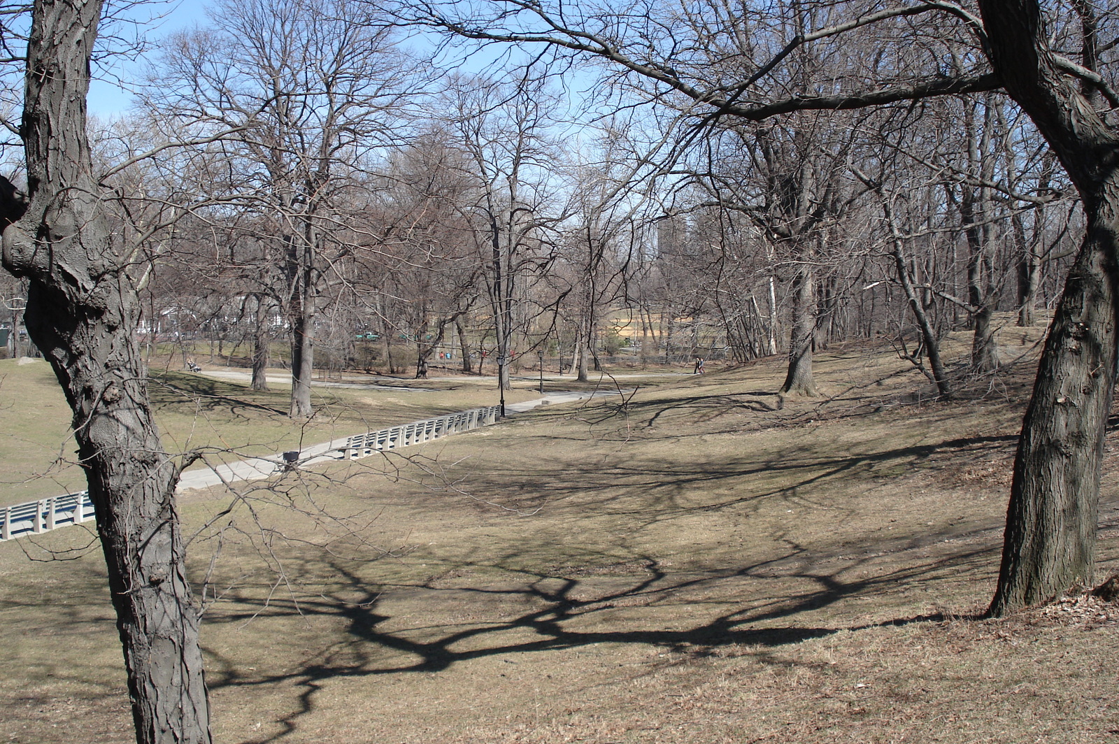 Photo États-Unis New York Central Park 2006-03 48