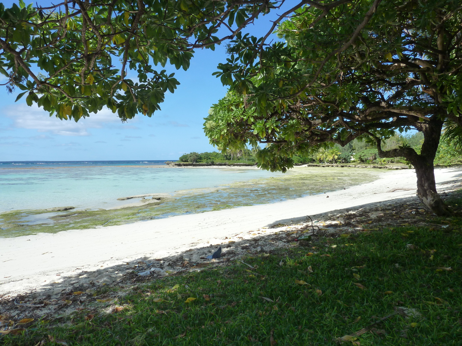 Photo Nouvelle-Calédonie Lifou Mu 2010-05 17