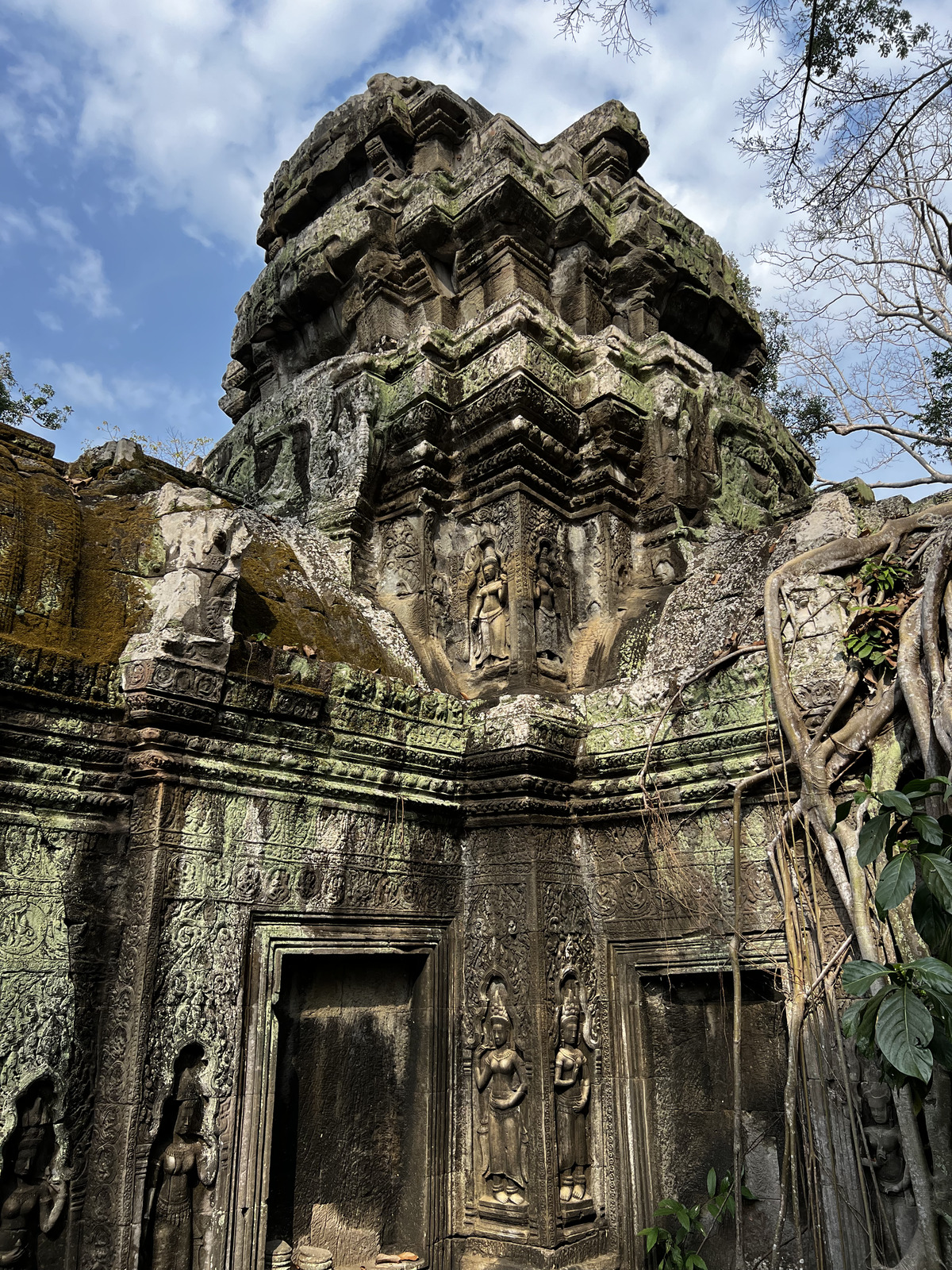 Photo Cambodge Siem Reap Ta Prohm 2023-01 103