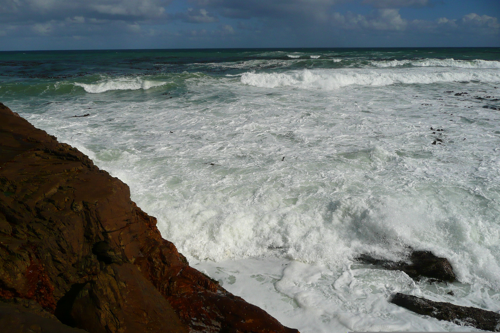 Photo Afrique du Sud Cap de Bonne Espérance pointe du cap de Bonne Espérance 2008-09 57
