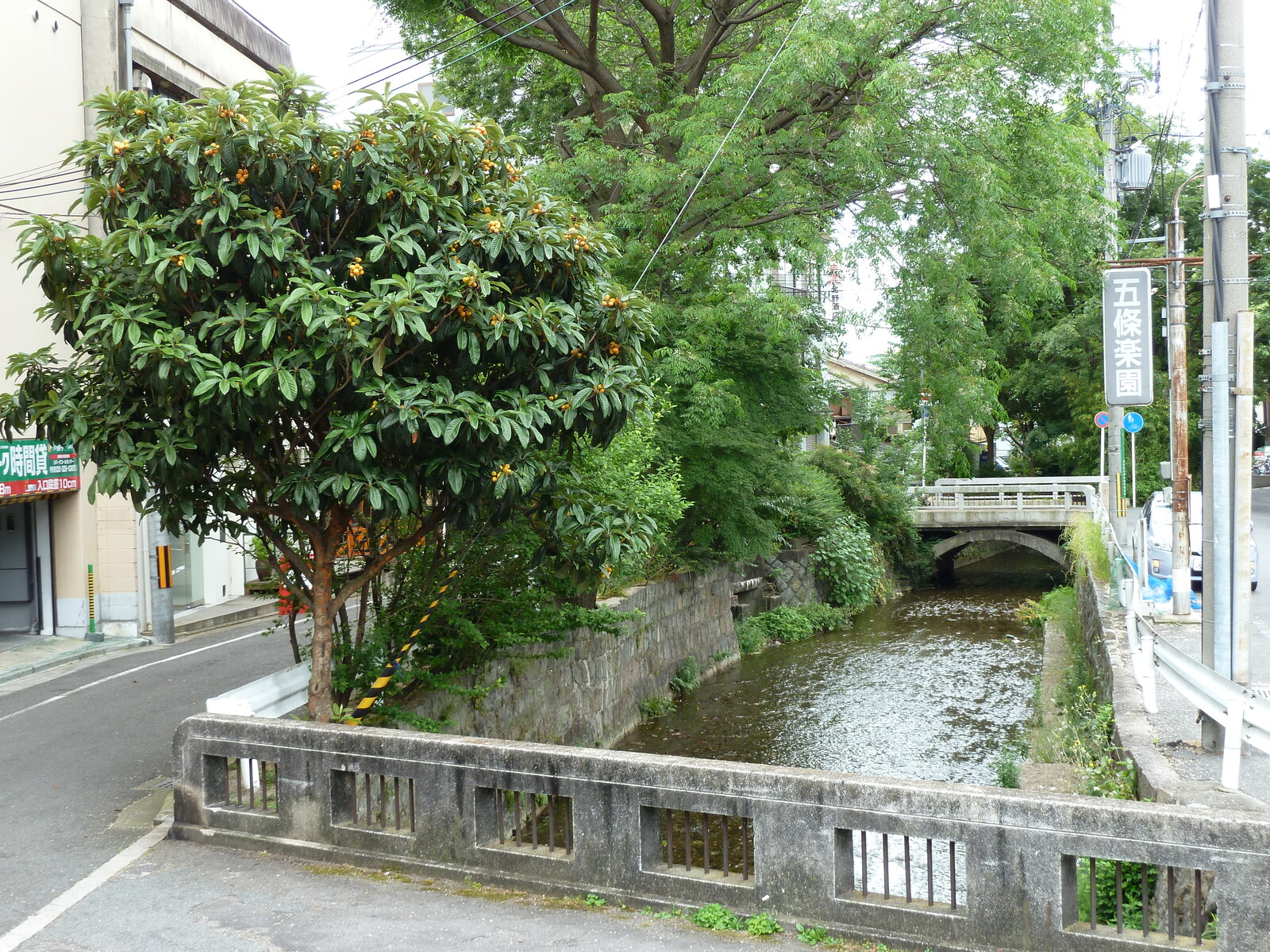Photo Japon Kyoto 2010-06 81