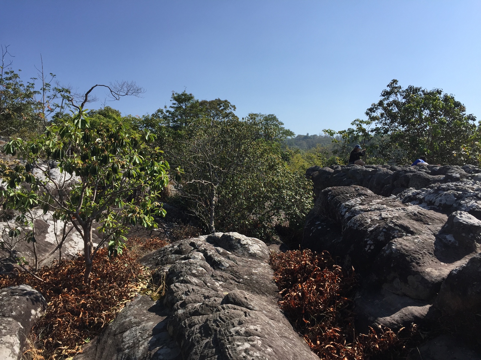 Photo Thaïlande Parc National Phu Hin Rong Kla 2014-12 258