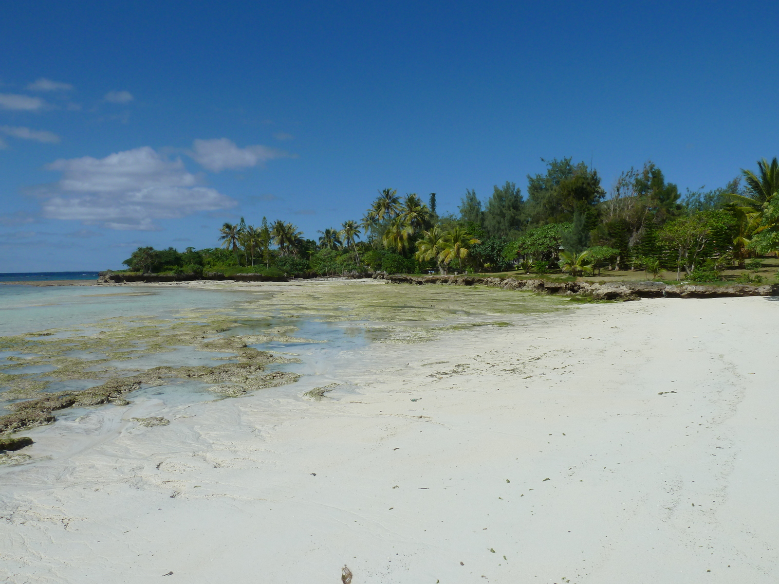 Photo Nouvelle-Calédonie Lifou Mu 2010-05 19