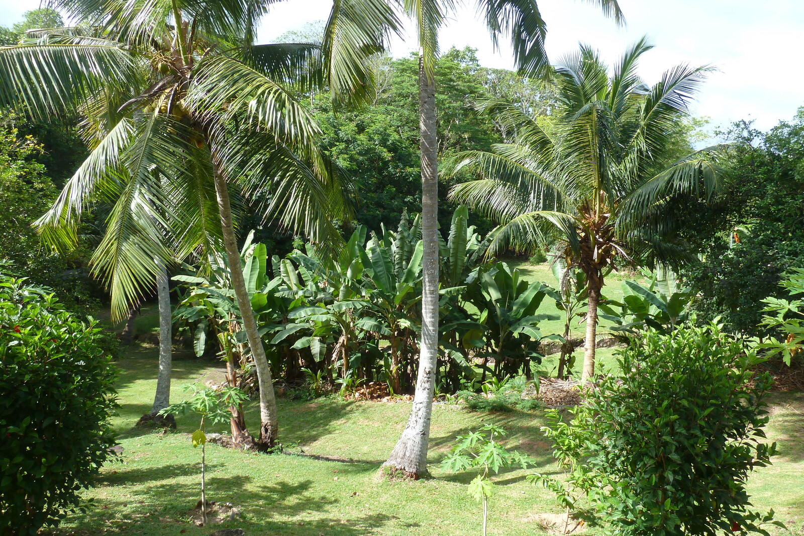 Photo Seychelles Praslin 2011-10 72