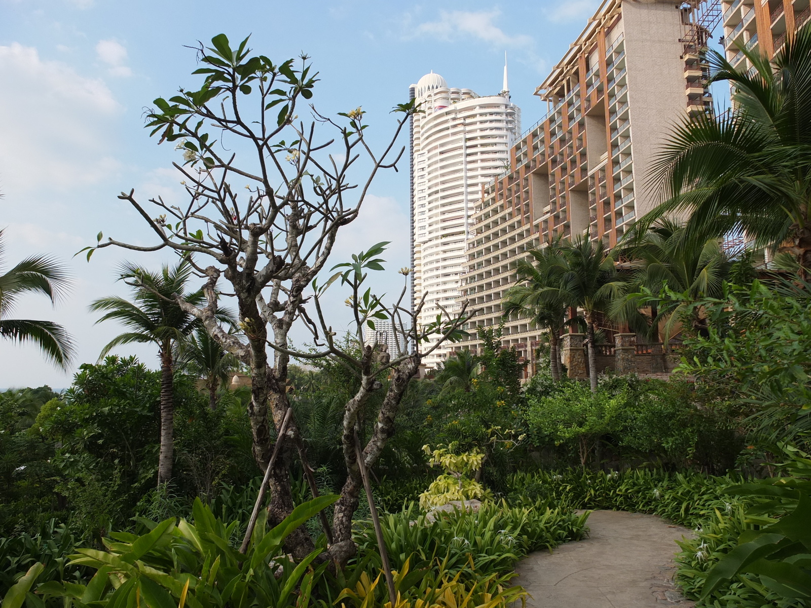 Photo Thaïlande Pattaya Centara Hotel 2011-12 52