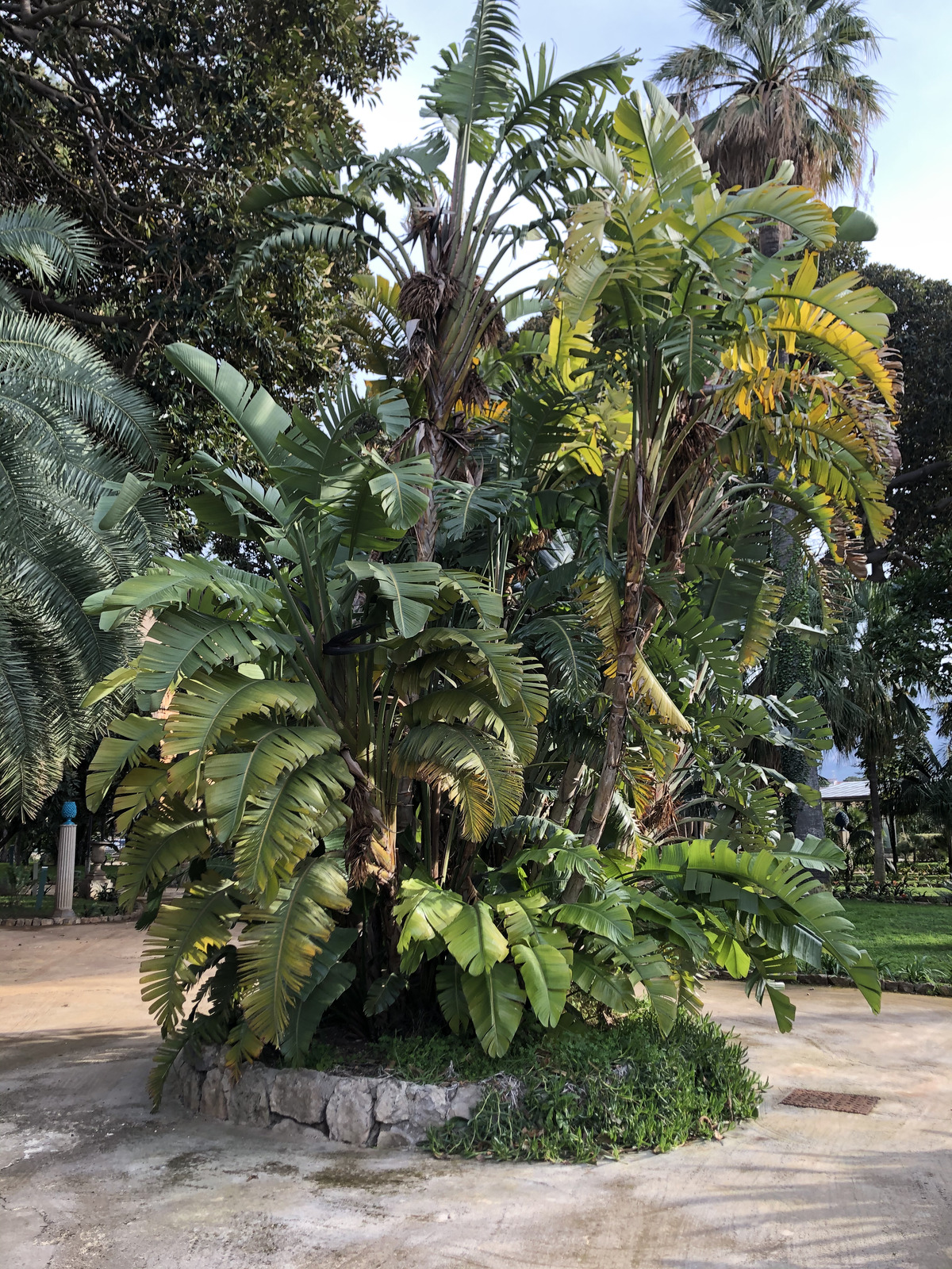 Photo Italie Sicile Palermo Palais des Normands 2020-02 221