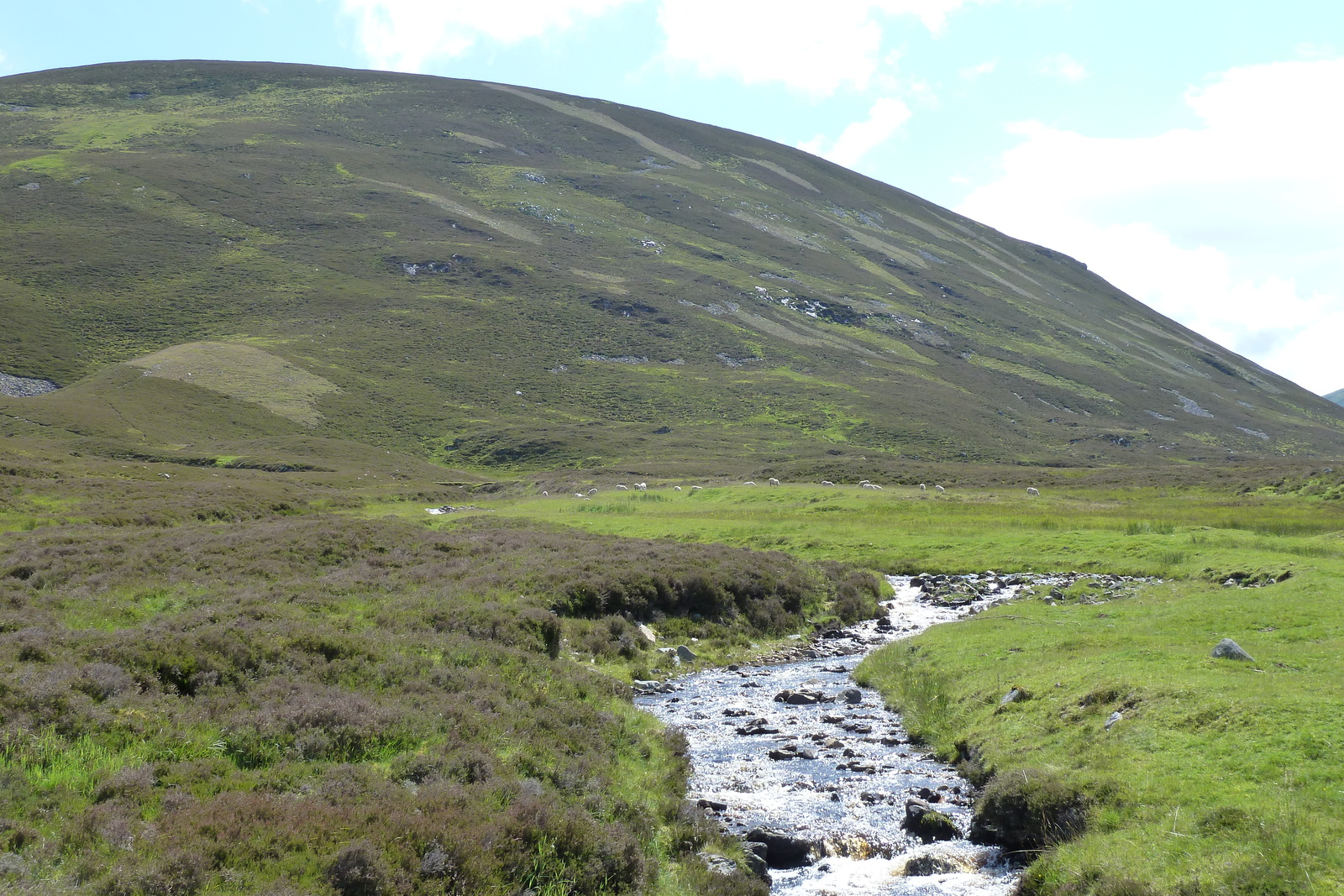 Photo Royaume-Uni Les Cairngorms 2011-07 79
