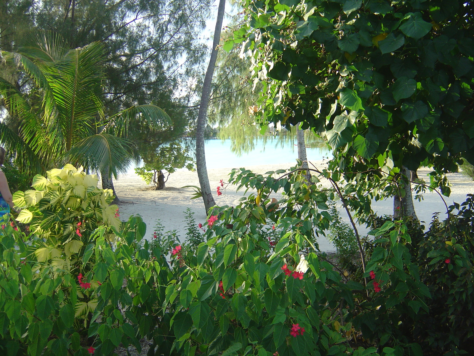 Photo Polynésie Hotel Meridien Bora Bora 2006-04 231