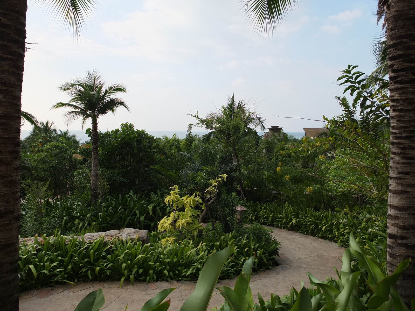 Photo Thaïlande Pattaya Centara Hotel 2011-12 73