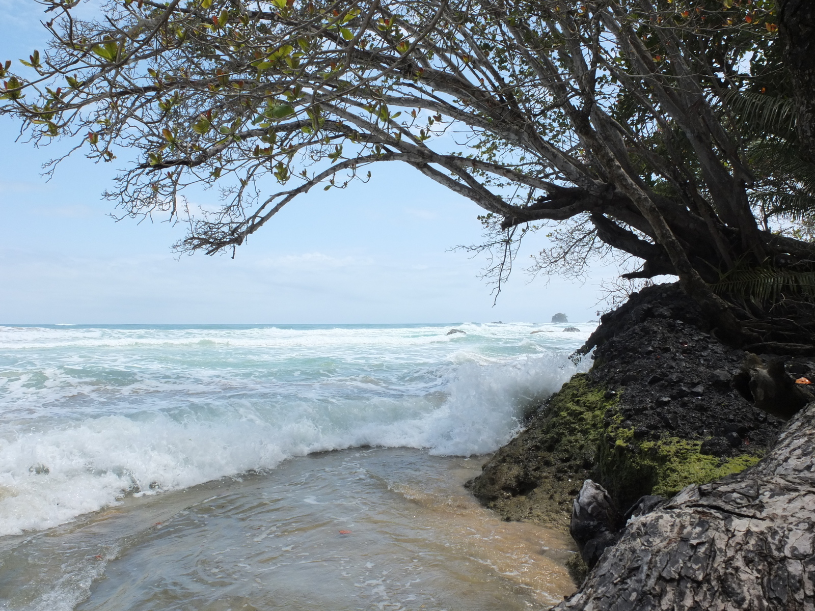 Photo Panama Bastimentos 2015-03 50