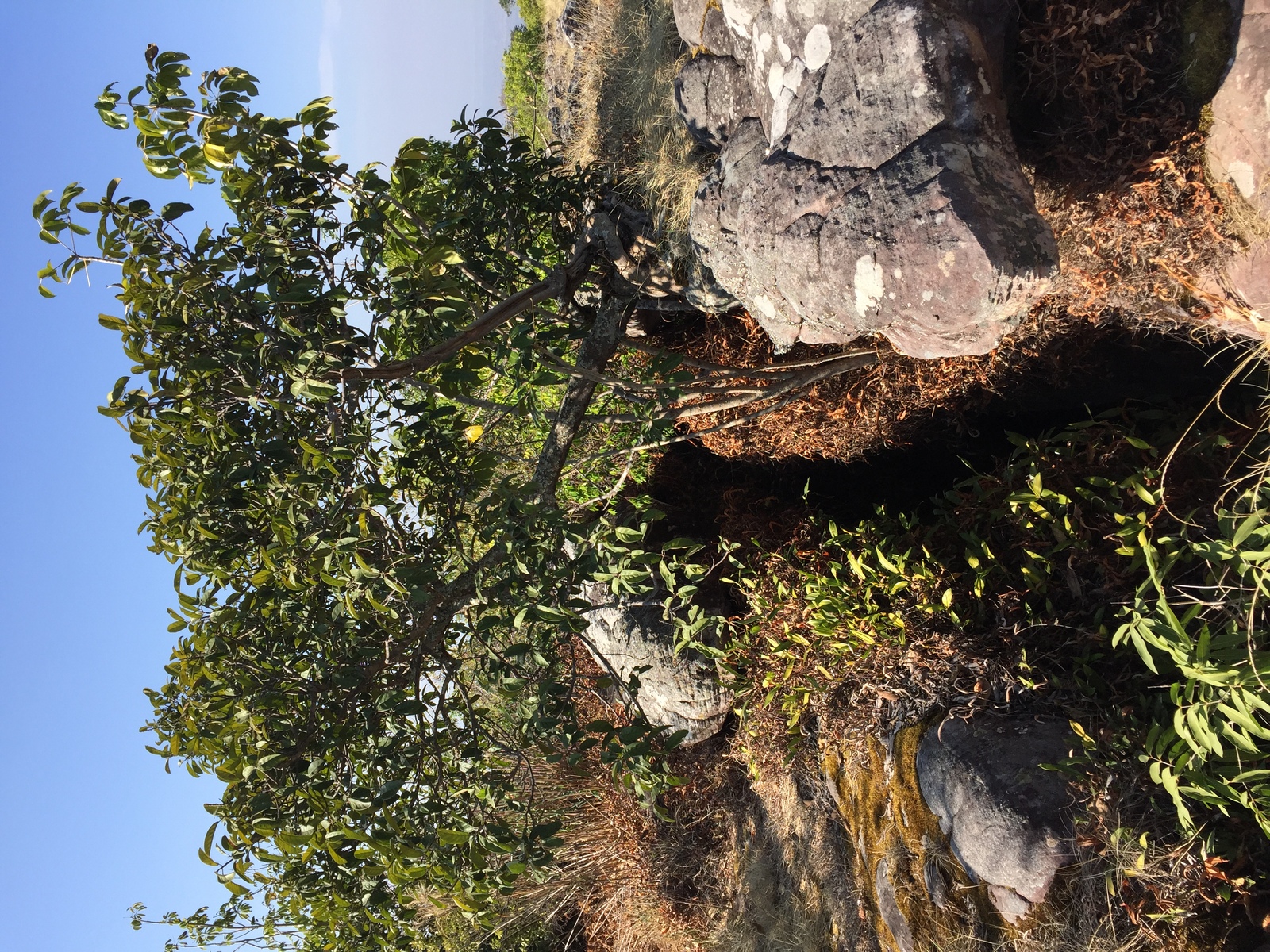 Photo Thaïlande Parc National Phu Hin Rong Kla 2014-12 384
