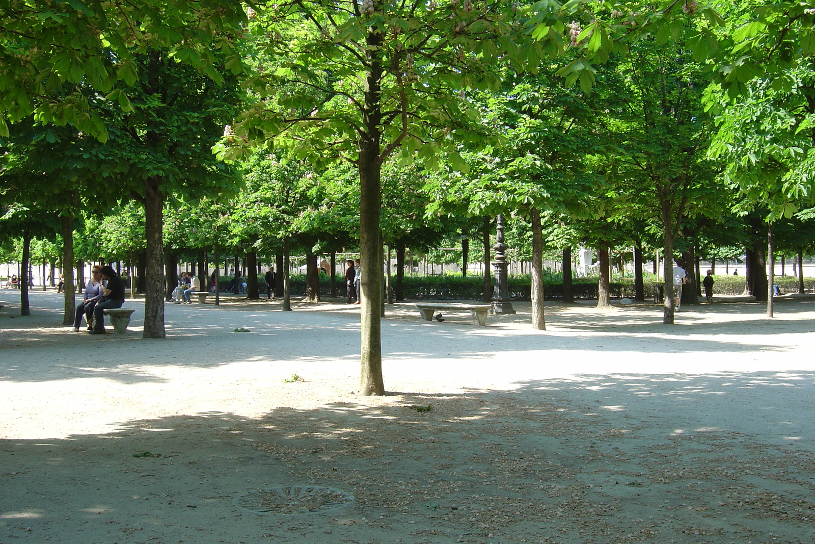 Photo France Paris Jardin des Tuileries 2007-05 22