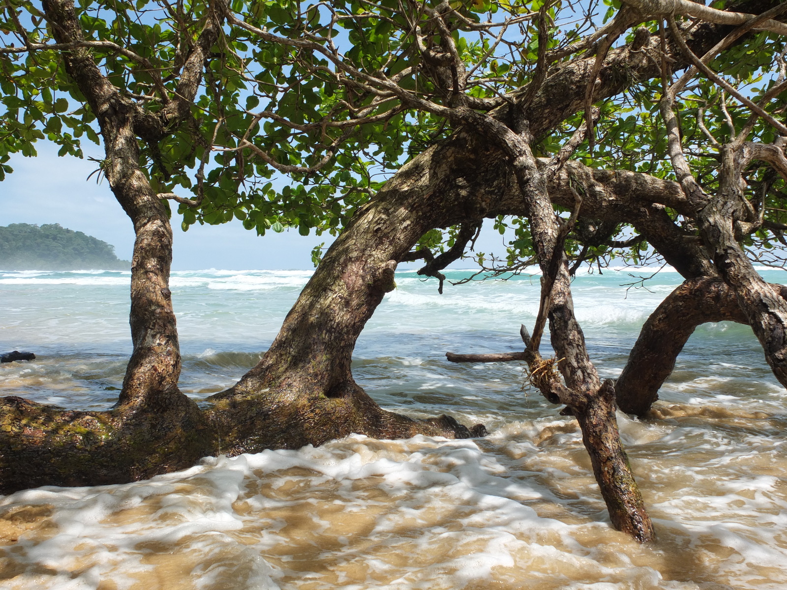Photo Panama Bastimentos 2015-03 30