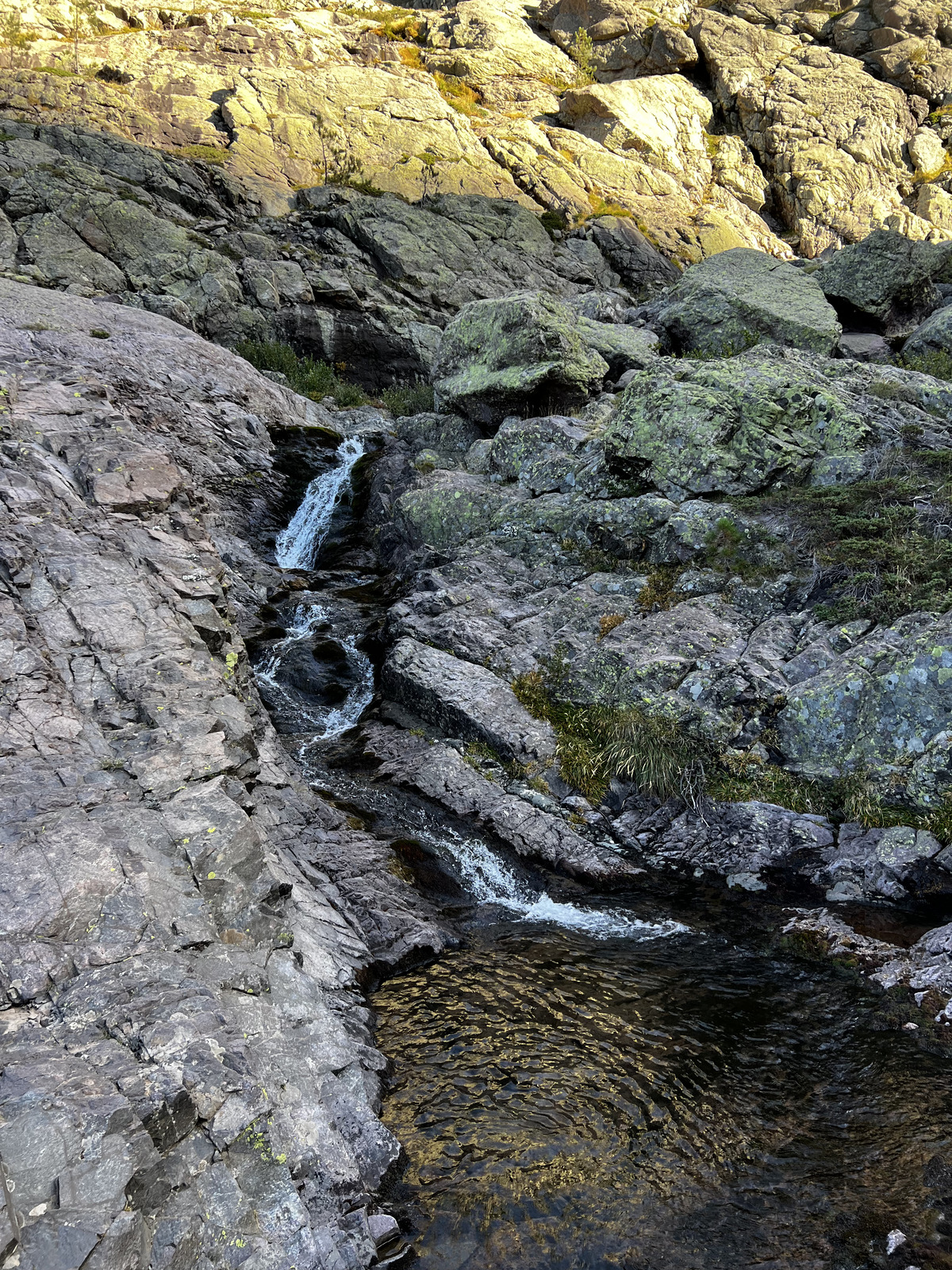 Photo France Corse Monte Cinto 2023-10 155