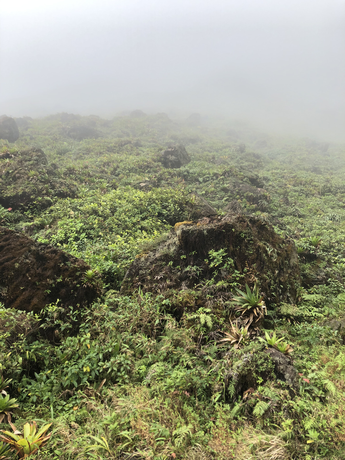 Photo Guadeloupe La Grande Soufrière 2021-02 47