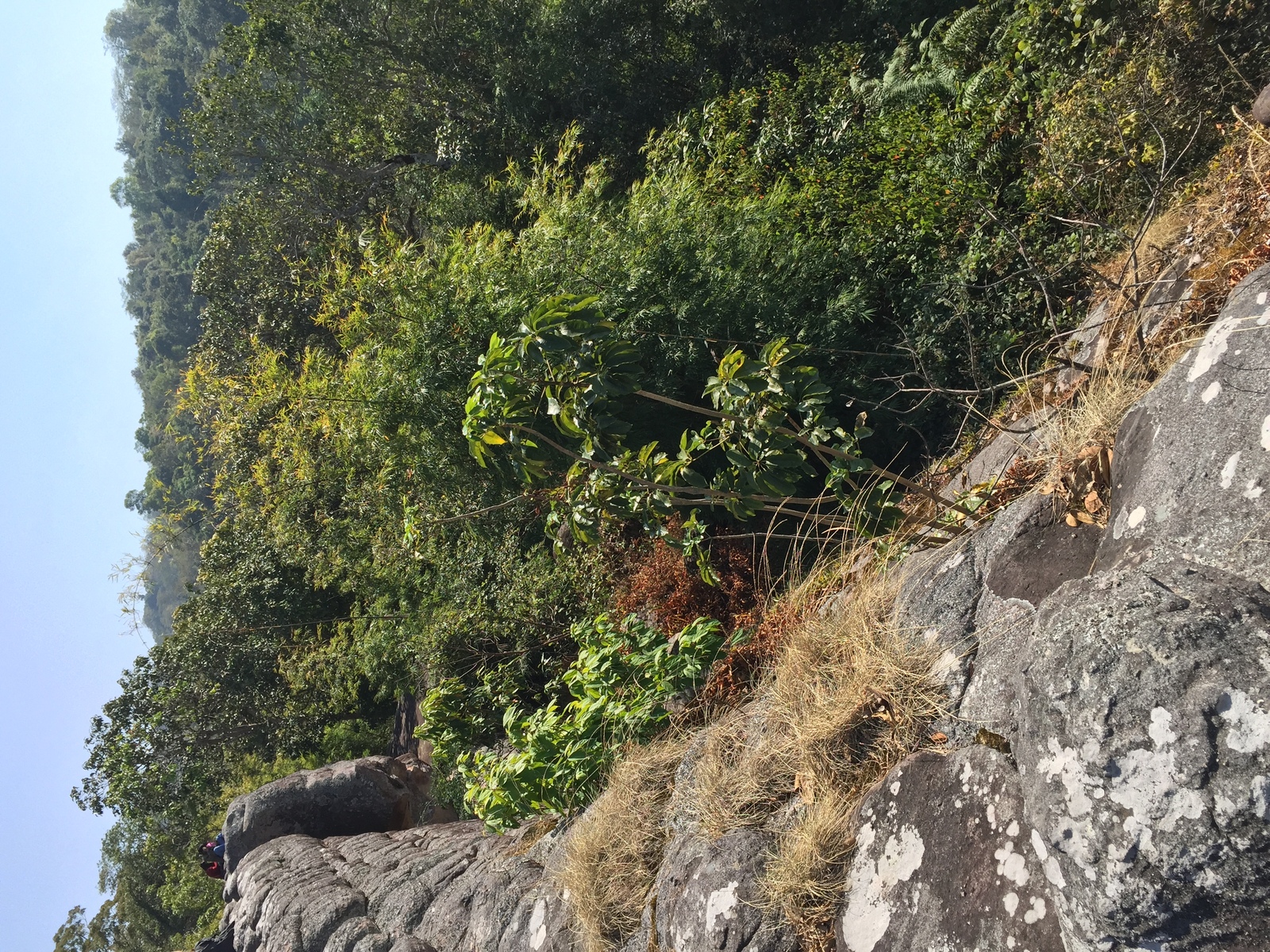 Photo Thaïlande Parc National Phu Hin Rong Kla 2014-12 69