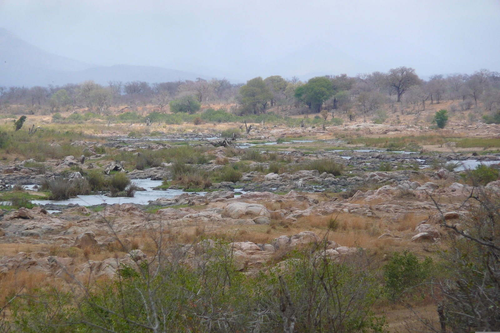 Photo Afrique du Sud Parc National Kruger rivière Crocodile 2008-09 58