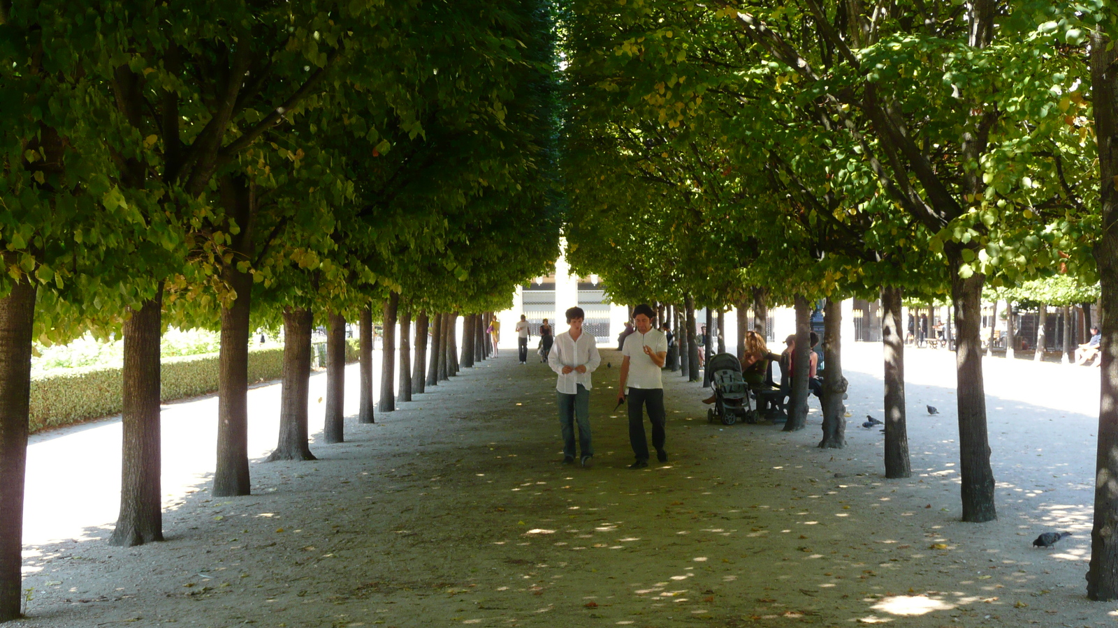 Photo France Paris Palais Royal 2007-08 22