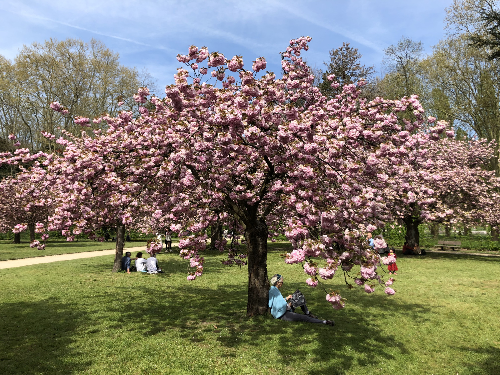 Photo France Parc de Sceaux 2019-04 71