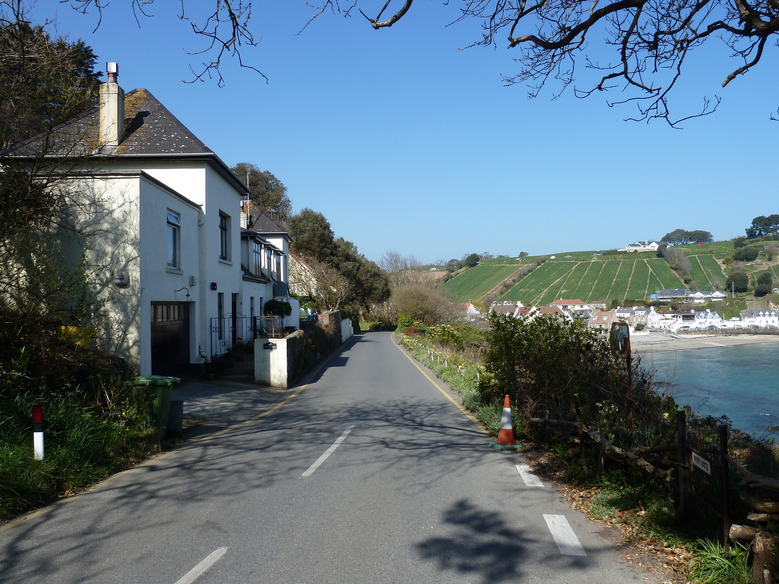 Photo Jersey 2010-04 202