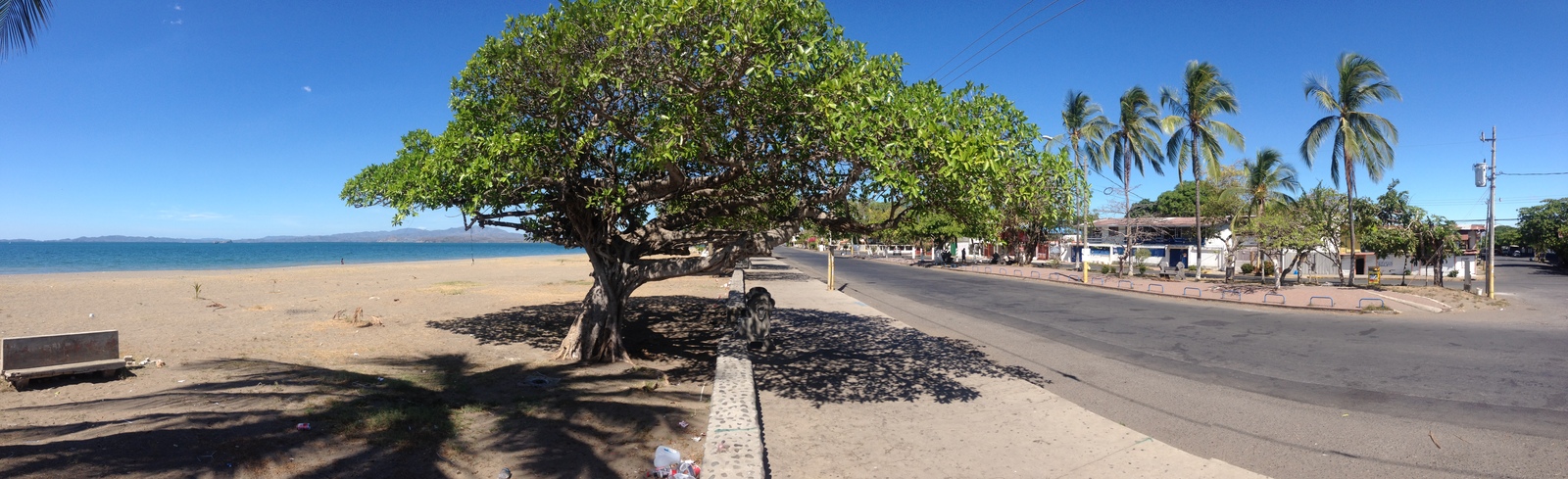 Photo Costa Rica Puntarenas 2015-03 120